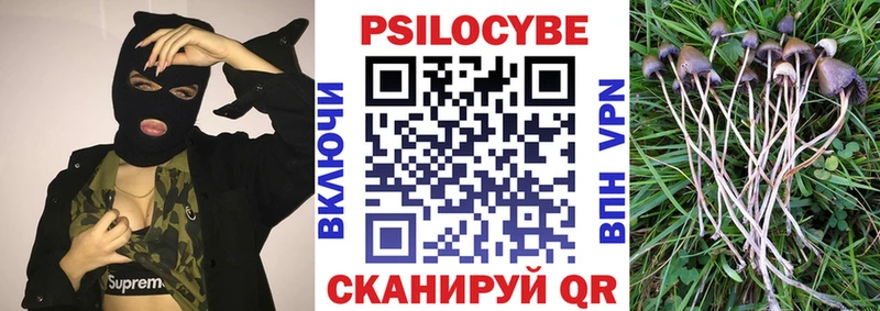 Псилоцибиновые грибы Cubensis  KRAKEN tor  Сунжа 